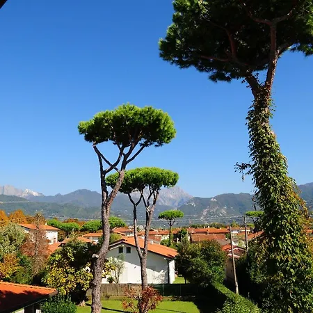 Olive Dei Marmi 펜션 포르데데이마르미